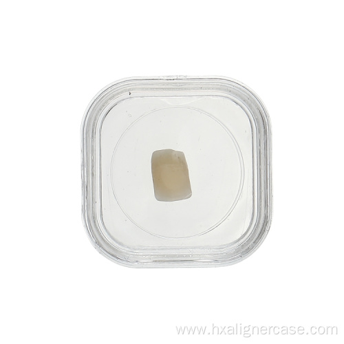 Small Plastic Transparent Membrane Jewelry Storage Box